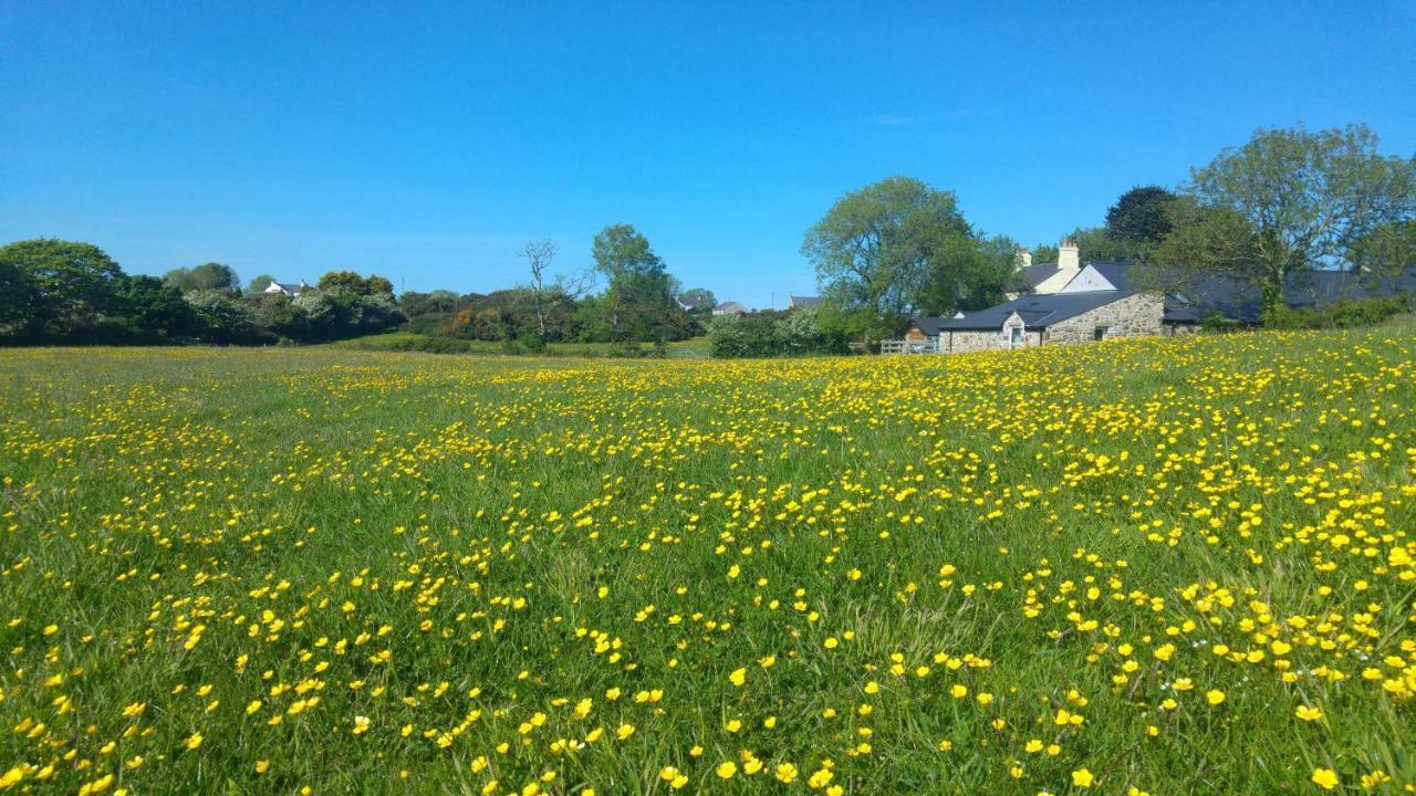 Gwalchmai The Barn At Cae Bachヴィラ エクステリア 写真